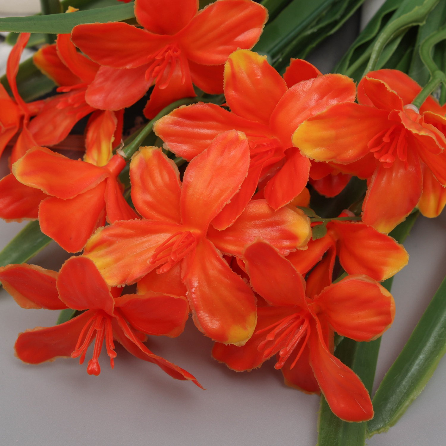 Букет «Хоста грация», 43 см, МИКС