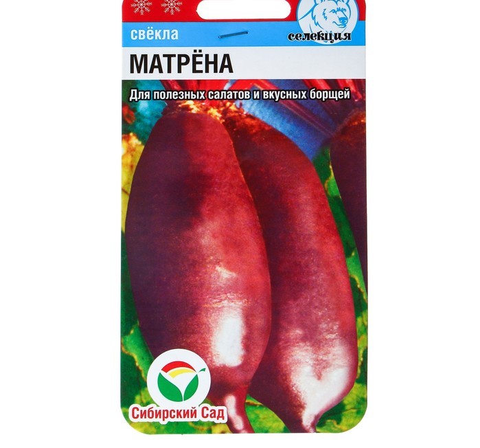Свекла Матрена 2гр Сибирский сад *10
