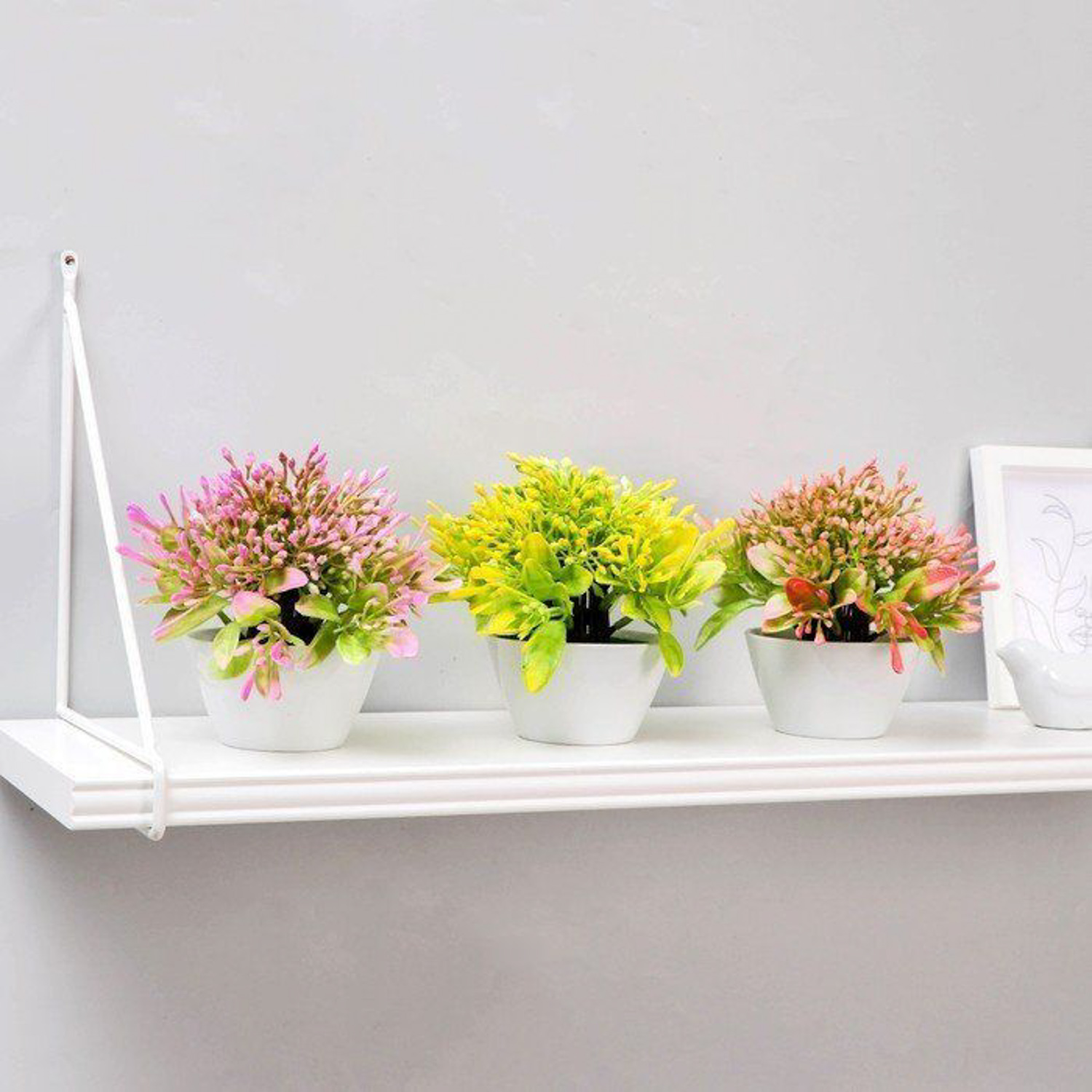 Бонсай в горшке "Горечавка" 10х15 см, микс  5201941