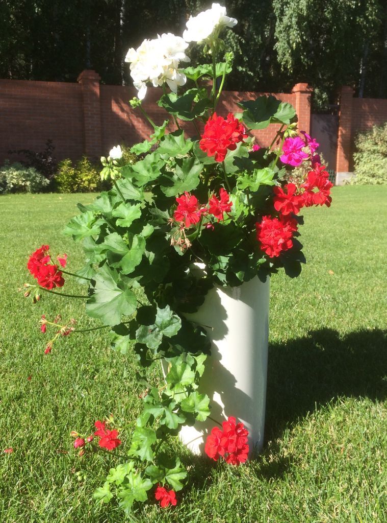 Кашпо пластм.  "Le cone" высокое 18,5л(вст.10л),d верх.28мм,h450мм Кремов 1100-1 "Tek.A.Tek" *1 Кашпо пластм.  "Le cone" высокое 18,5л(вст.10л),d верх.28мм,h450мм Кремов 1100-1 "Tek.A.Tek" *1