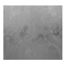 Пленка самоклеящаяся 0.45х8 м D&B, витражная, серый