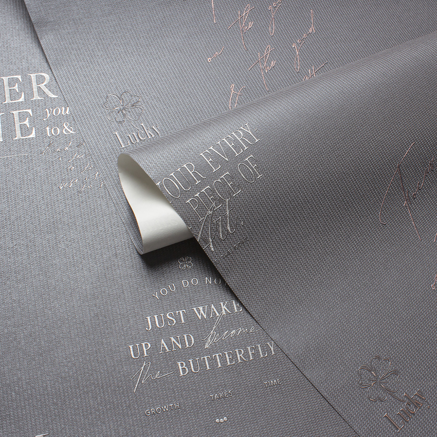 Обои флиз Victoria Stenova Dream (графит) 585248 1.06*10м *6