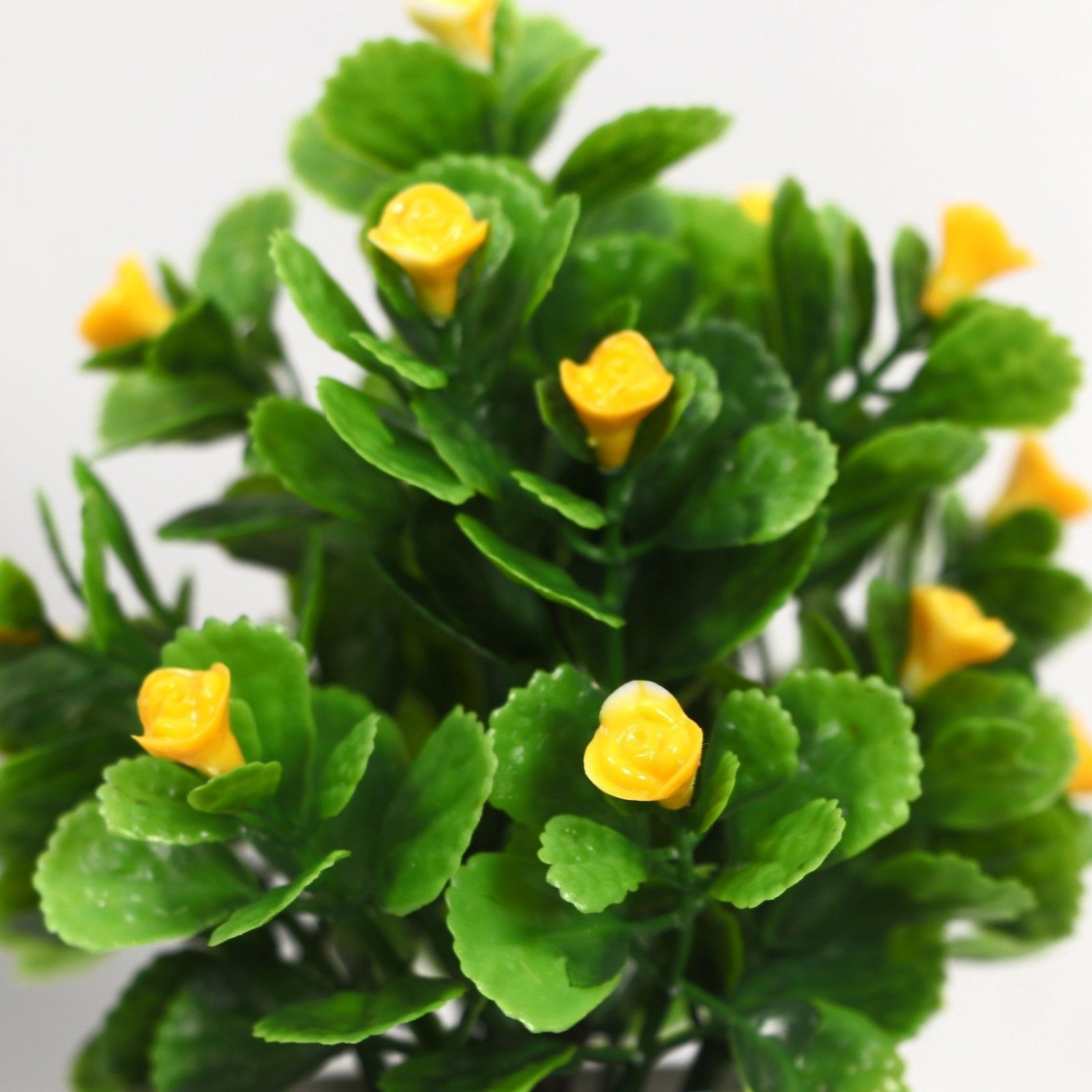 Бонсай в горшочке "Маленькие розочки" 6*15 см, микс   4555644