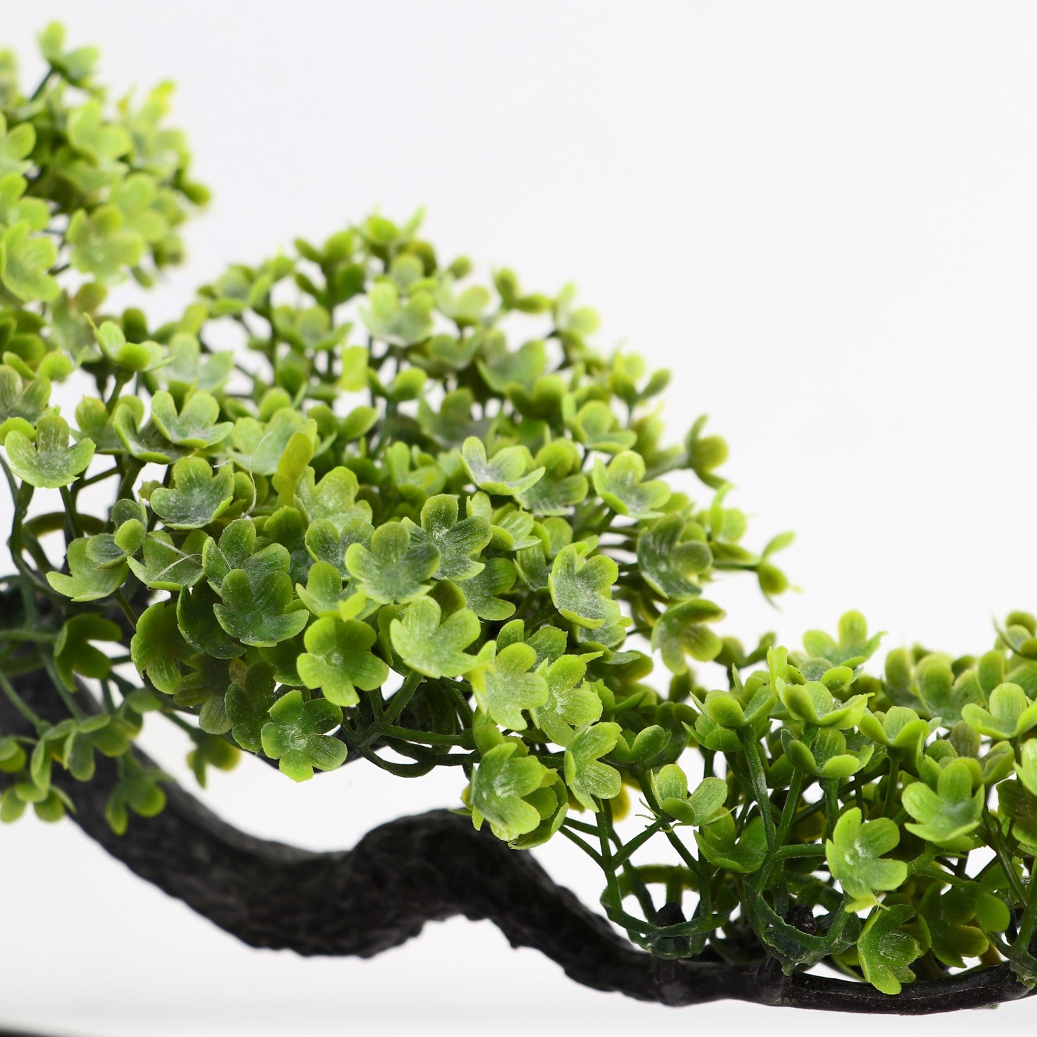 Бонсай в горшке "Дерево Делоникс" 10,5х15 см  10084581