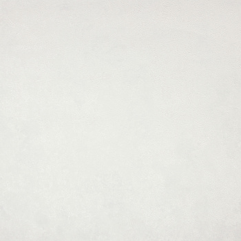 Обои флиз OSTIMA Adel 88751 1.06*10м *6