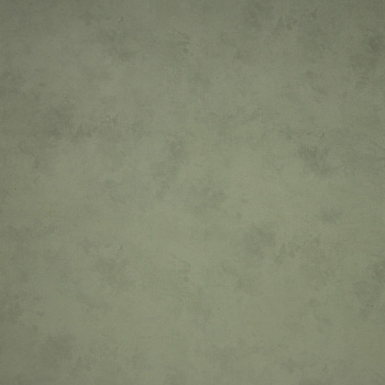 Обои флиз. Артекс FREEDOM Панорама-уни (зел.) 11273-06 10х1.06м  *1/6