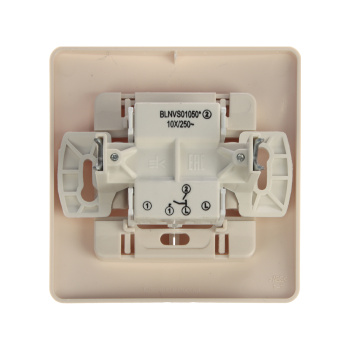 Выключатель "BLANCA" СП 2кл. бежевый 10А 250В BLNVS010507 *1/10/20