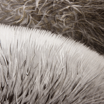 Обои флиз "Антураж" Puff AN8889-16 10*1,06м *6