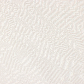 Обои флиз "HomeColor"  PROTECT-CASA фон (беж.) HC31236-21a 1,06*10м *1/8