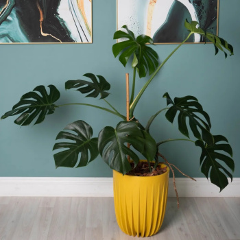 Кашпо пластм. "Сигма" 18л d верха 300мм h370мм со вставкой 10л Медовый СИ30-34 *1